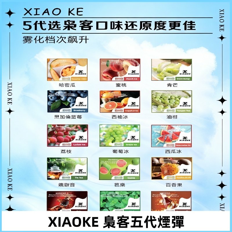 梟客五代煙彈|XIAOKE可替換式電子煙|通用Relx6代|ILIA五代主機